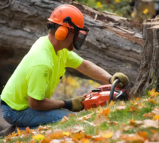 tree services Moapa Valley